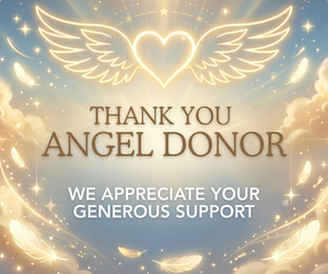 Angel Donor